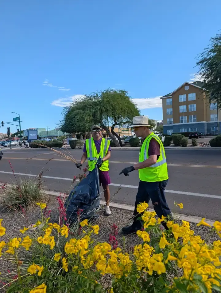 Three volunteers participating in an October 24, 2026 Phoenix Clean Streets cleanup beside flowering desert plants on 20th Street